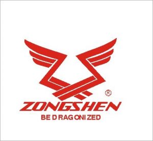 Reprogrammation moteur Zongshen