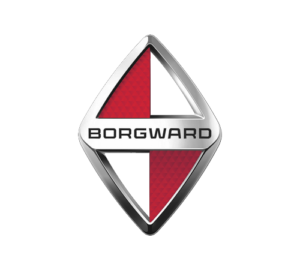 Reprogrammation moteur Borgward